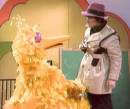 Big Bird and Fargo North, Decoder