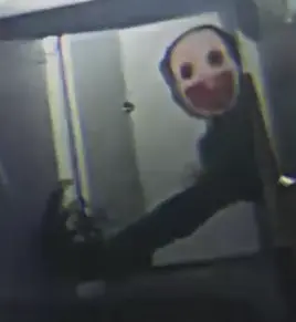 Elder Mimic Pillar Chase 2: Fanon Wiki Fandom