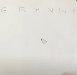 Grannycover
