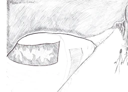 Crashed Crodin ship.