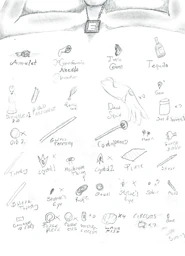 Ari's Inventory.