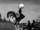 Rooster (Skeleton Dance)