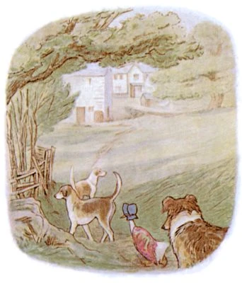 Fox Hound Puppies | Public Domain Super Heroes | Fandom