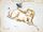 Aries