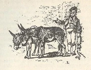 The Coachman as illustrated by Enrico Mazzanti.