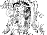 Dryad