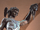 Perseus
