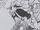 Snake (Thief)