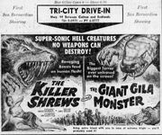 Double feature ad