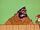 Junior (Popeye TV Series)