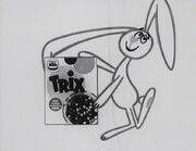 Silly Rabbit