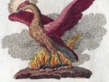 Phoenix (Myth)