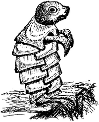 The Mock Turtle illustrated by his creator, Charles Dodgson, a.k.a