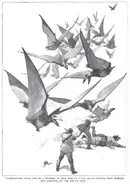 LostWorld-Pterodactyl3.webp (63 KB)