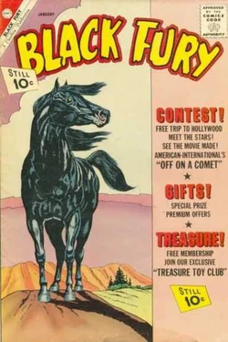 Black fury horse