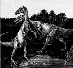 Coelophysis