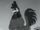 Cornelius Rooster