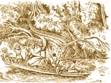 Boiuna