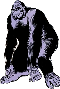 Gorilla Grodd | Public Domain Super Heroes | Fandom