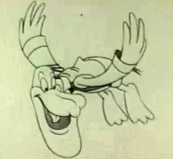 Paddypelican