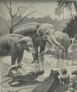 Hathi-Troop.jpg (861 KB)