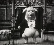 Dancing Pig (creepy pig)