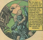 From Chamber of Chills #22.