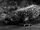 Giant Gila Monster