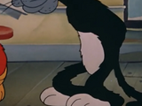 Korny Kat