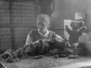 The Employment of Women in Britain, 1914-1918 Q28162