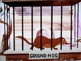 Ground-Hog