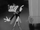Moth (Looney Tunes)