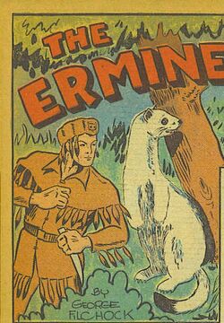 Ermine