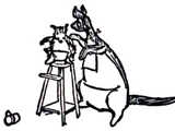 Kanga