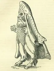 BishopFish-BookOfDays