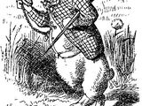 White Rabbit