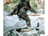 Bigfoot