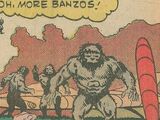 Banzos