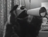 Ralph directing a Purina commercial starring Baskerville.