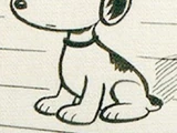 Rover (Li’l Folks)