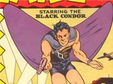 Black Condor
