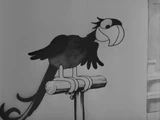 Parrot (Steamboat Willie)