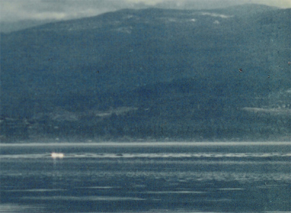 洋書 The Okanagan Mystery Ogopogo by Moon The Okanagan Mystery Ogopogo by Moon