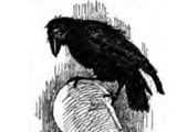 Monstrous Crow
