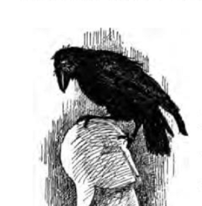 Monstrous Crow | Public Domain Super Heroes | Fandom