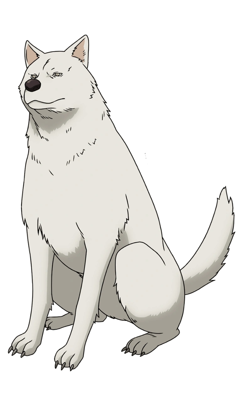 latest?cb=20210214223841