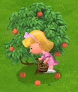 Lila picking acorns behind a peach tree