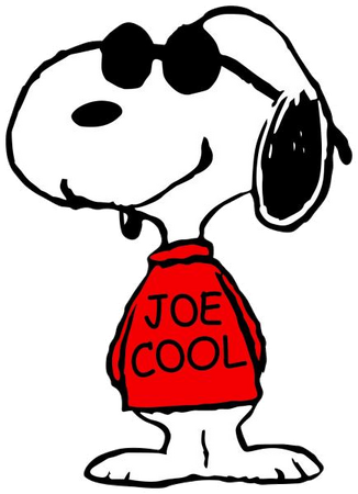 O que significa Be cool like Joe Cool? - Pergunta sobre a Inglês (EUA)