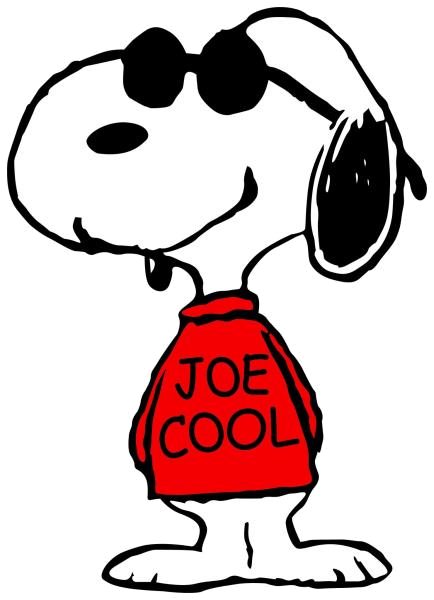 Joe Cool Is In The House