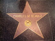 Schulz star